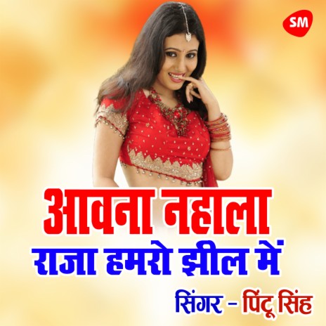 Awana Nahala Raja Hamaro Jheel Me | Boomplay Music