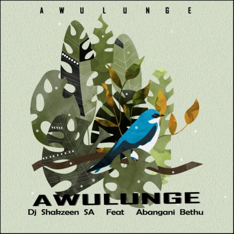 Awulunge ft. Abangani bethu | Boomplay Music