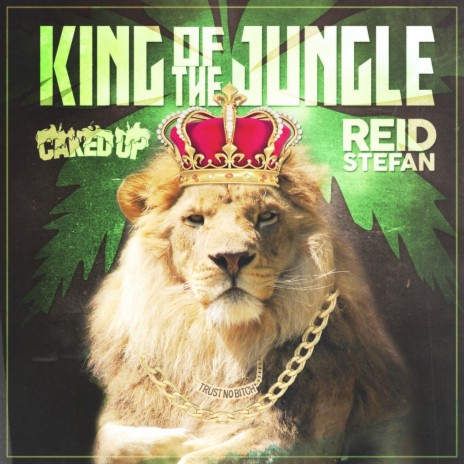 King of the Jungle (Club Mix) ft. Reid Stefan | Boomplay Music