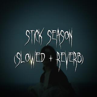 stick season (slowed + reverb)