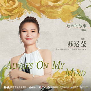 Always on my mind (总在我的心境中) (电视剧《玫瑰的故事》插曲) lyrics | Boomplay Music