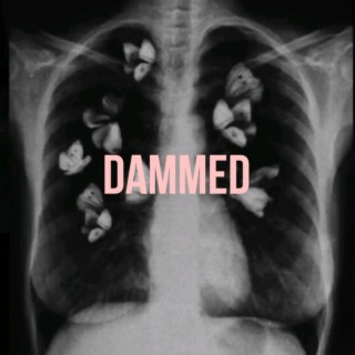 Dammed lyrics | Boomplay Music