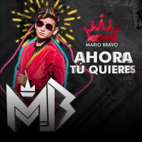 Ahora Tu Quieres | Boomplay Music