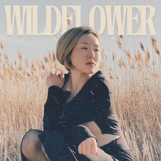 Wildflower lyrics | Boomplay Music