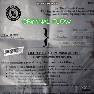 Criminal Flow