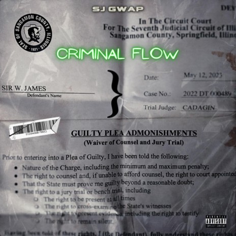 Criminal Flow