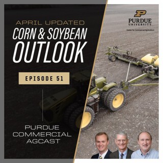 April Corn & Soybean Outlook Update