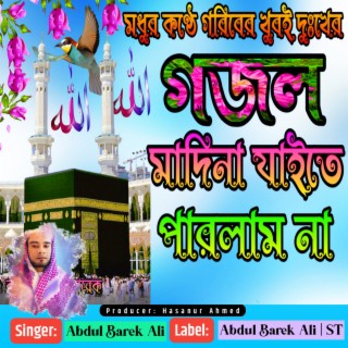 Madina Jaite Parlam Na Madina Dekh Te Parlam Na