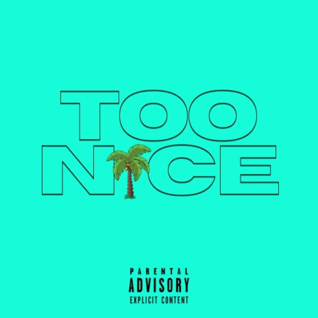 Too Nice | Boomplay Music