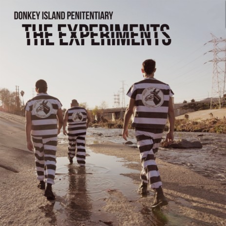 The Experiments | Boomplay Music