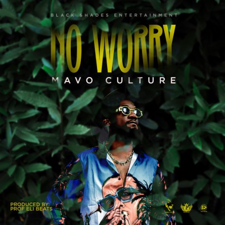 No Worry | Boomplay Music
