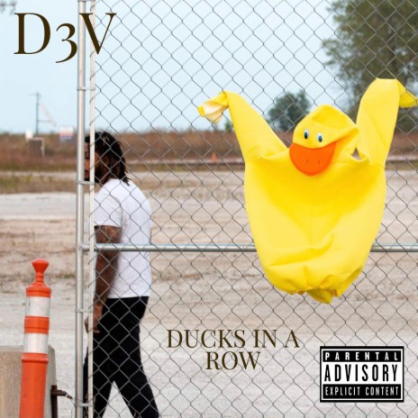 Ducks in a Row | Boomplay Music