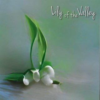 Lily of the Valley