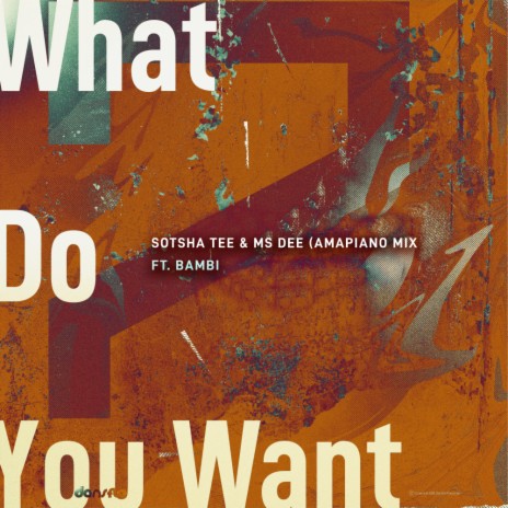 What Do You Want (Amapiano Mix) ft. Ms Dee | Boomplay Music