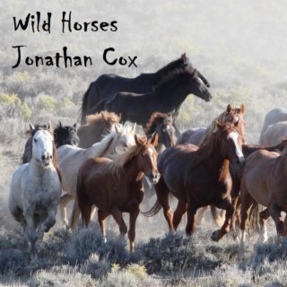 Wild Horses