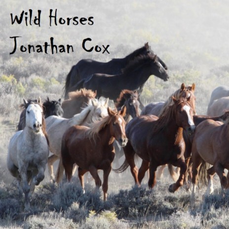 Wild Horses | Boomplay Music