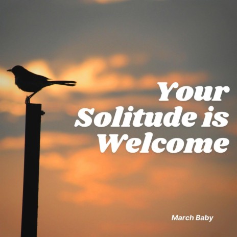 Your Solitude Is Welcome | Boomplay Music