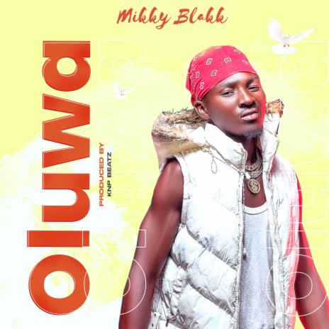 Oluwa | Boomplay Music
