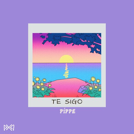 Te Sigo | Boomplay Music