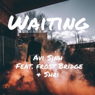 Waiting (feat. Frost Bridge & Shri)