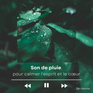 Son de pluie pour calmer l'esprit et le cœur 5Hz