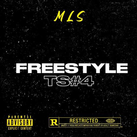 Freestyle TS#4 | Boomplay Music