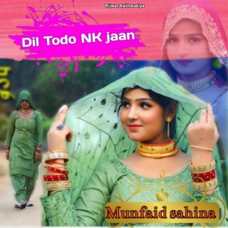 Dil Todo Nk Jaan