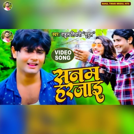 Sanam Bewafai | Boomplay Music