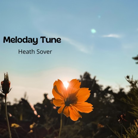 Meloday Tune | Boomplay Music