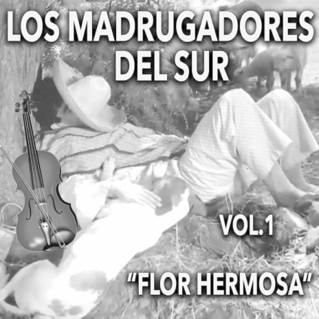 El Patiesito - Los Madrugadores del Sur MP3 download | El Patiesito - Los  Madrugadores del Sur Lyrics | Boomplay Music