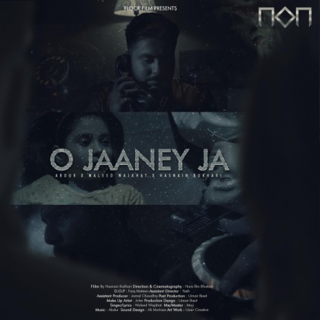 O Jaaney Jaa (feat. Hasnain Bukhari & Waleed Ahmed Wajahat) | Boomplay Music