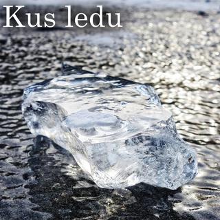 Kus ledu