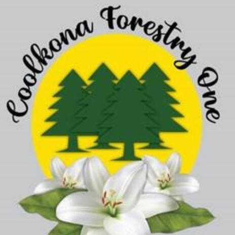 Coolkona Forestry | Boomplay Music