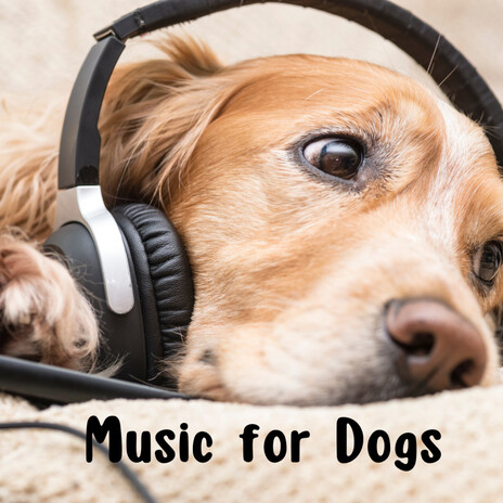 Man's Best Friend ft. Music For Dogs Peace, Relaxing Puppy Music & Calm Pets Music Academy