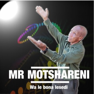 Mr Motshareni