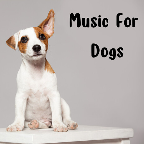 Tired Yawns ft. Music For Dogs, Relaxing Puppy Music & Calm Pets Music Academy | Boomplay Music