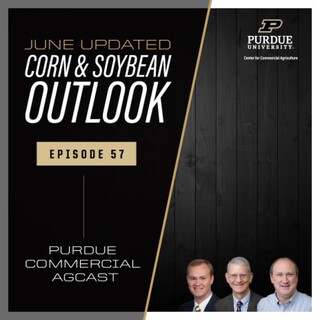 June Corn & Soybean Outlook Update