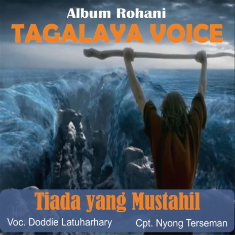 Tiada Yg Mustahil | Boomplay Music