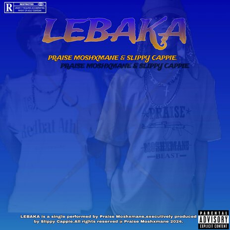 Lebaka ft. Slippy Cappie | Boomplay Music