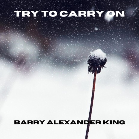 Try To Carry On (Radio Edit) | Boomplay Music