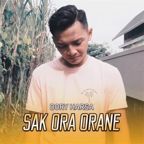 Sak Ora Orane | Boomplay Music