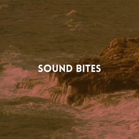 Sound Bites | Boomplay Music