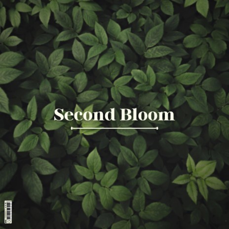 Second Bloom | Boomplay Music