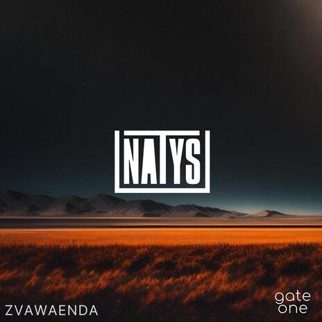 Zvawaenda | Boomplay Music