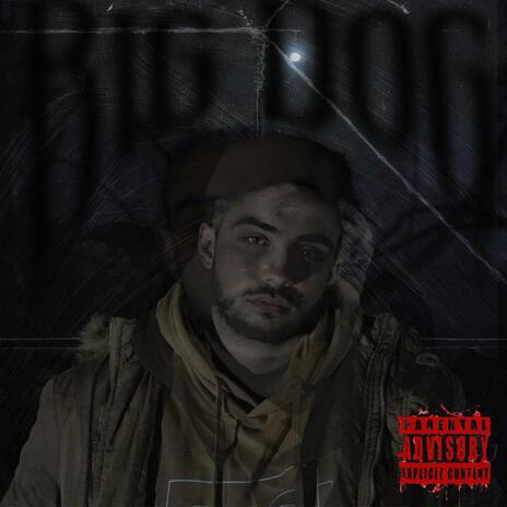 Big Dog | Boomplay Music