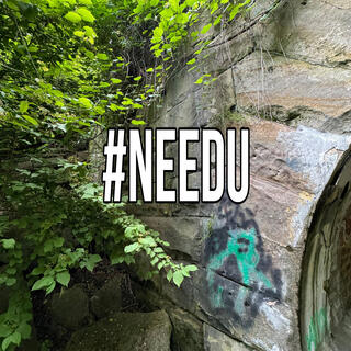 #needu