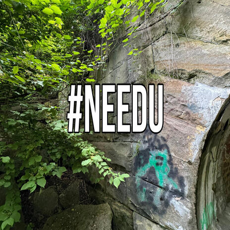 #needu | Boomplay Music