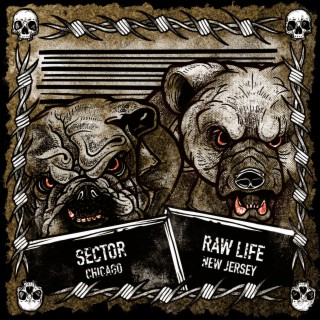 Sector (Chicago) / Raw Life (New Jersey)