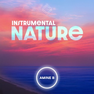 Instrumental Nature