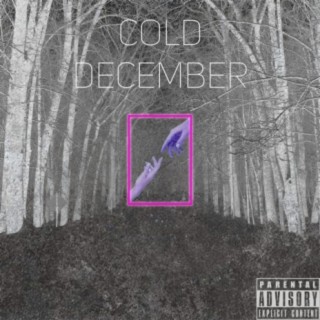 Cold December